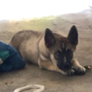 Meet your Posher, Fern